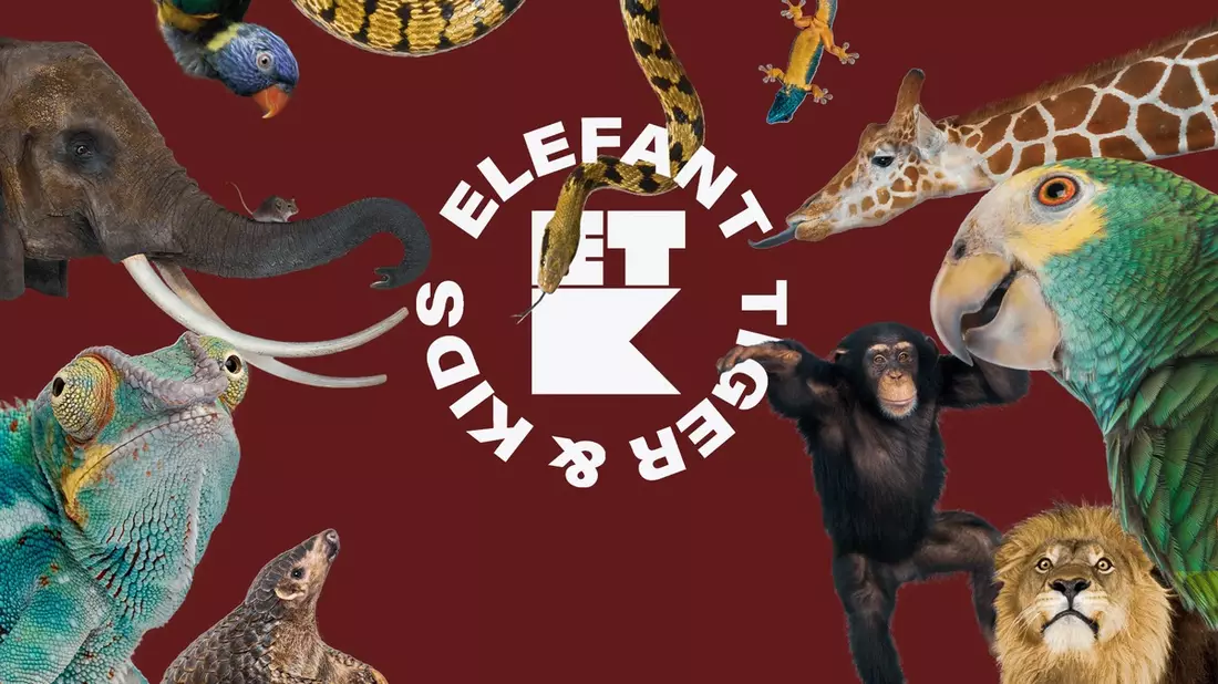 Drehstart für dritte Staffel „Elefant, Tiger & Kids“ im Oktober – Bewerbungsphase läuft noch bis 15. August - Bild: presseportal.de