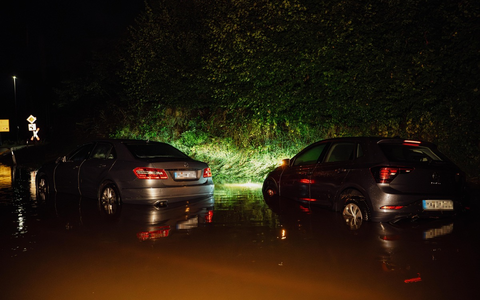 FW-DT: Acht Küken aus misslicher Lage gerettet - Dank aufmerksamer Kinder - Foto: presseportal.de