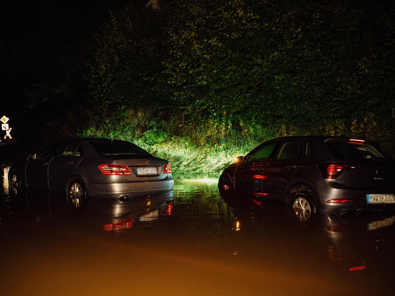 FW-DT: Acht Küken aus misslicher Lage gerettet - Dank aufmerksamer Kinder - Foto: presseportal.de