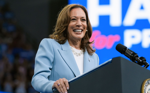US-Vizepräsidentin Kamala Harris hat sich bei einer Online-Abstimmung der Demokraten die notwendige Mehrheit der Delegiertenstimmen für die Präsidentschaftskandidatur ihrer Partei gesichert. (Archivbild) - Foto: John Bazemore/AP