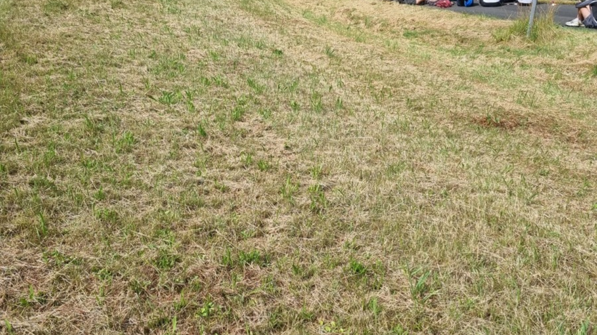 API-TH: 50 Festival-Besucher auf A9 in Ri. Berlin gestrandet - Foto: presseportal.de