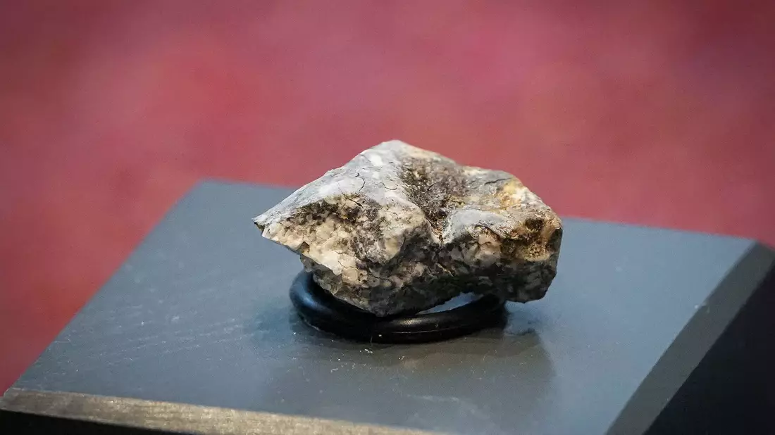 Die Trümmer des «Ribbeck»-Meteoriten, der im Januar in Brandenburg niederging, rochen intensiv nach faulen Eiern. - Bild: Soeren Stache/dpa