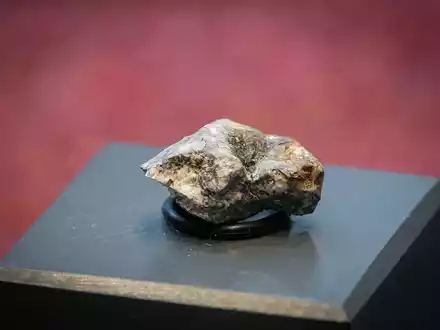 Die Trümmer des «Ribbeck»-Meteoriten, der im Januar in Brandenburg niederging, rochen intensiv nach faulen Eiern. - Foto: Soeren Stache/dpa