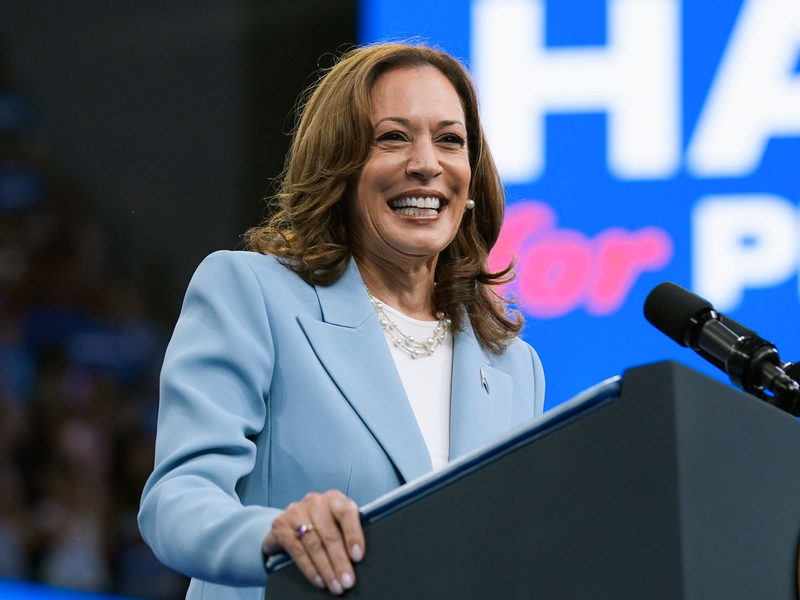 Kamala Harris hat sich die Präsidentschaftskandidatur der Demokraten gesichert und ist nun auf der Suche nach einem Vize. - Foto: John Bazemore/AP/dpa