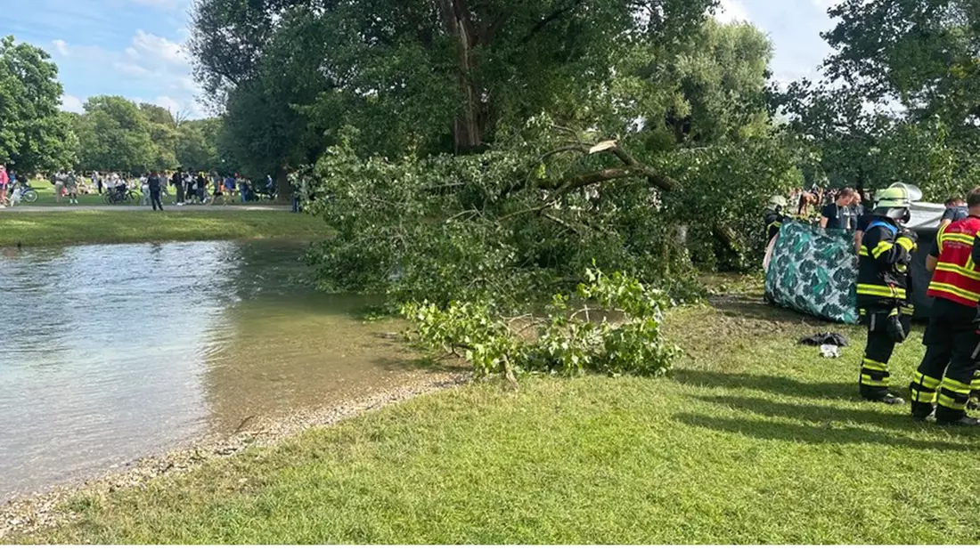 FW-M: Ast begräbt Frau unter sich (Englischer Garten) - Bild: presseportal.de