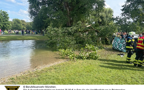 FW-M: Ast begräbt Frau unter sich (Englischer Garten) - Foto: presseportal.de