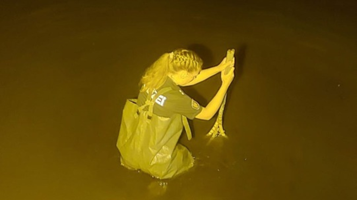 POL-NMS: 240805-2-pdnms Rettung eines iPads aus Teich in Neumünster - Foto: presseportal.de