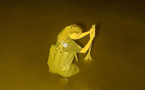 POL-NMS: 240805-2-pdnms Rettung eines iPads aus Teich in Neumünster - Foto: presseportal.de