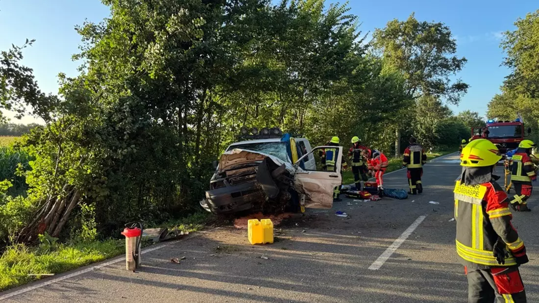 FW-SE: Schwerer Verkehrsunfall zwischen zwei PKW auf der L319 - Bild: presseportal.de