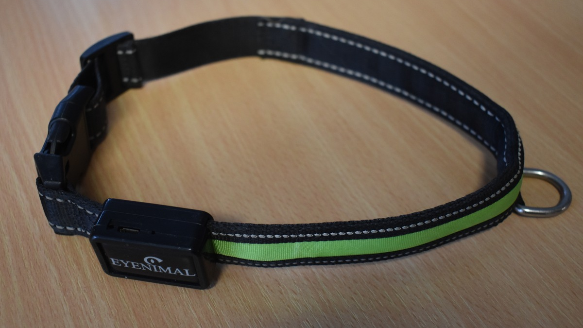 POL-EL: Hoogstede - Zeugen nach Schafsriss gesucht (Foto) - Foto: presseportal.de