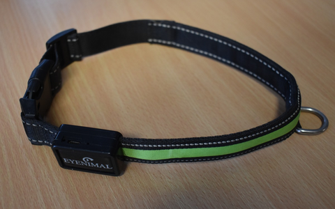 POL-EL: Hoogstede - Zeugen nach Schafsriss gesucht (Foto) - Foto: presseportal.de