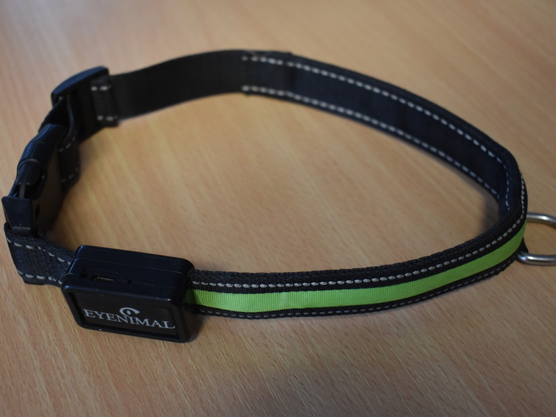 POL-EL: Hoogstede - Zeugen nach Schafsriss gesucht (Foto) - Foto: presseportal.de