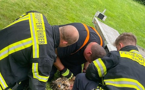 FW Hennef: Tier in Not - Uhu auf der Suche nach einem Snack in Netz verfangen - Foto: presseportal.de