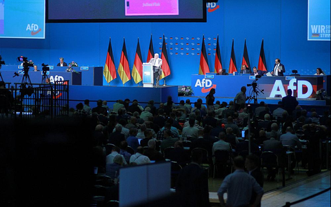 AfD-Parteitag (Archiv) - Foto: über dts Nachrichtenagentur