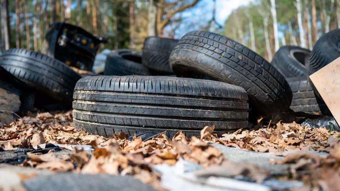 Illegal entsorgter Müll im Wald ist aus Sicht von Umweltschützern ein Problem - gelöst ist es längst noch nicht (Symbolbild). - Bild: Philipp Schulze/dpa
