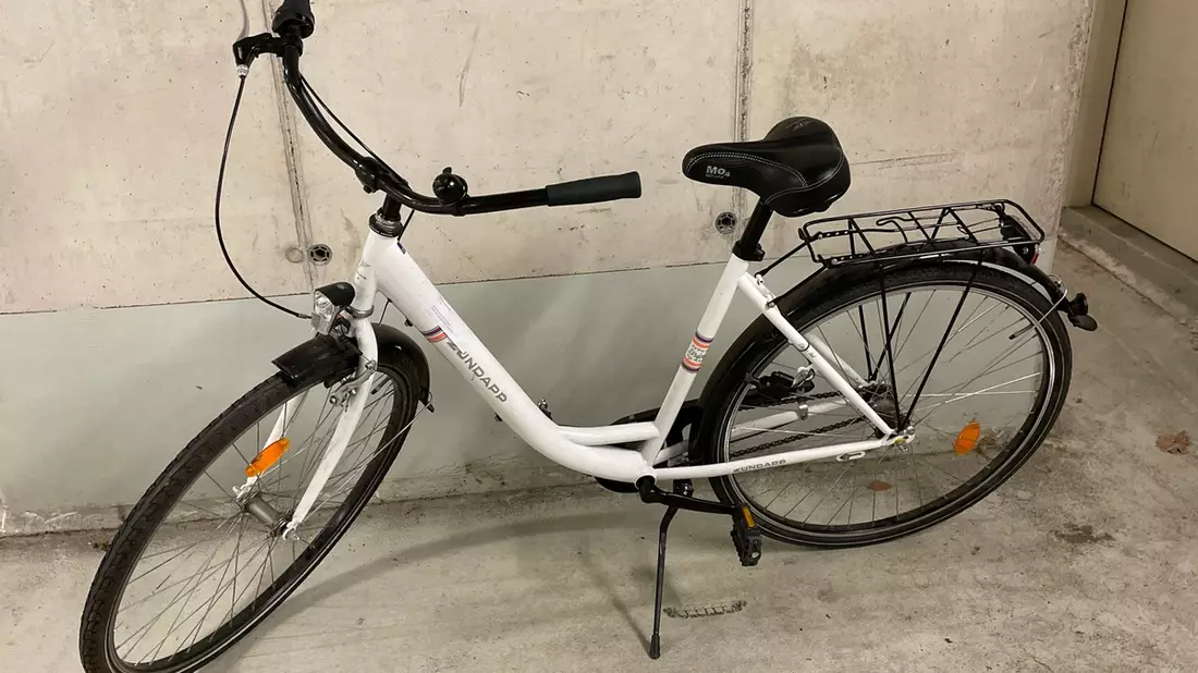 POL-DA: Darmstadt: Fahrrad im Herrngarten sichergestellt / Eigentümer gesucht - Bild: presseportal.de