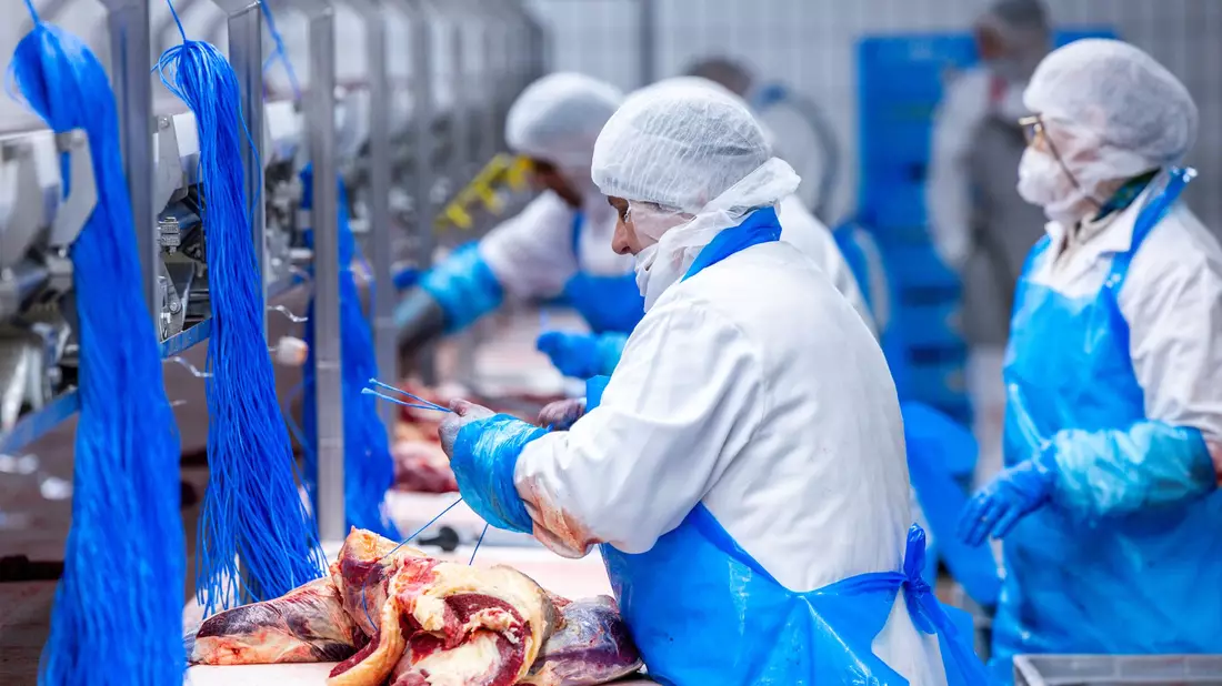Im ersten Halbjahr ist die Fleischproduktion in Deutschland weider gestiegen. (Archivbild)  - Bild: Jens Büttner/dpa