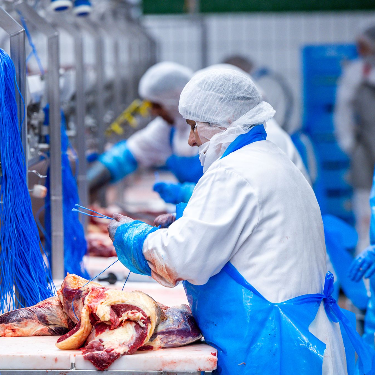 Im ersten Halbjahr ist die Fleischproduktion in Deutschland weider gestiegen. (Archivbild)  - Foto: Jens Büttner/dpa