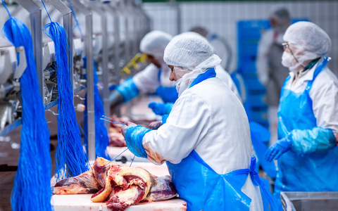Nach Jahren rückläufiger Schlachtungen ist die Zahl der Schweineschlachtungen im vergangenen Jahr wieder leicht gestiegen. (Archivfoto)  - Foto: Jens Büttner/dpa