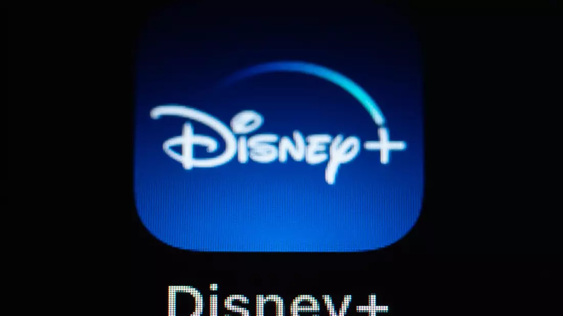 Netflix ging bereits erfolgreich gegen das Teilen von Passwörtern im Streaming vor - jetzt versucht es auch Disney. (Archivbild) - Bild: Silas Stein/dpa
