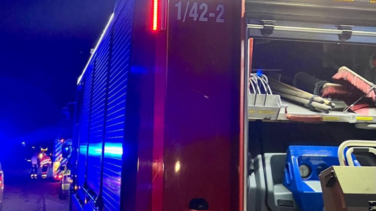 FW Reichenau: Pressemitteilung: Techn. Hilfeleistungseinsatz durchgeführt, Reichenau-Mittelzell, 07.08.2024 - Foto: presseportal.de