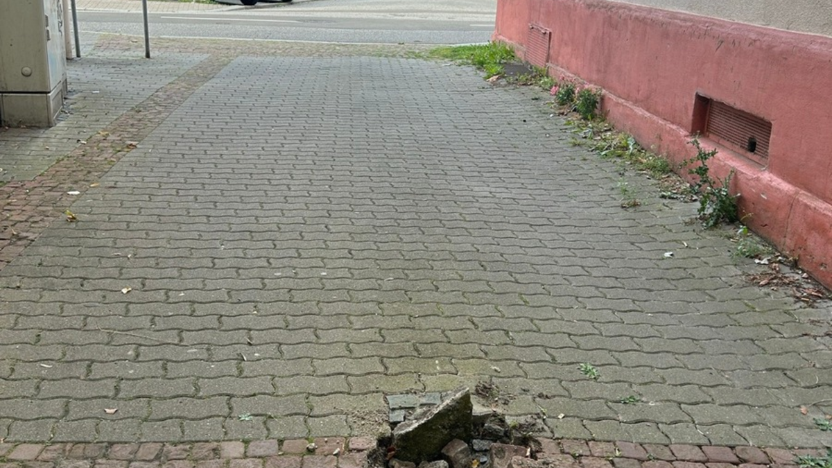 POL-PPWP: Wenn der Straßenpoller bei der Durchfahrt stört... - Foto: presseportal.de