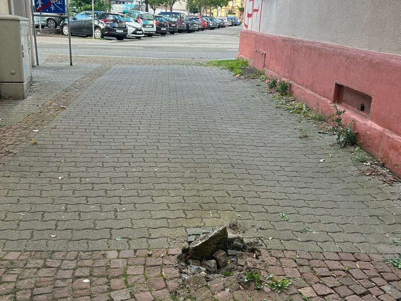 POL-PPWP: Wenn der Straßenpoller bei der Durchfahrt stört... - Foto: presseportal.de