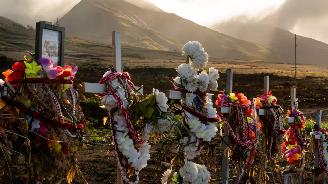  102 Menschen wurden Opfer der Brände auf Maui. (Archivbild) - Bild: Lindsey Wasson/AP
