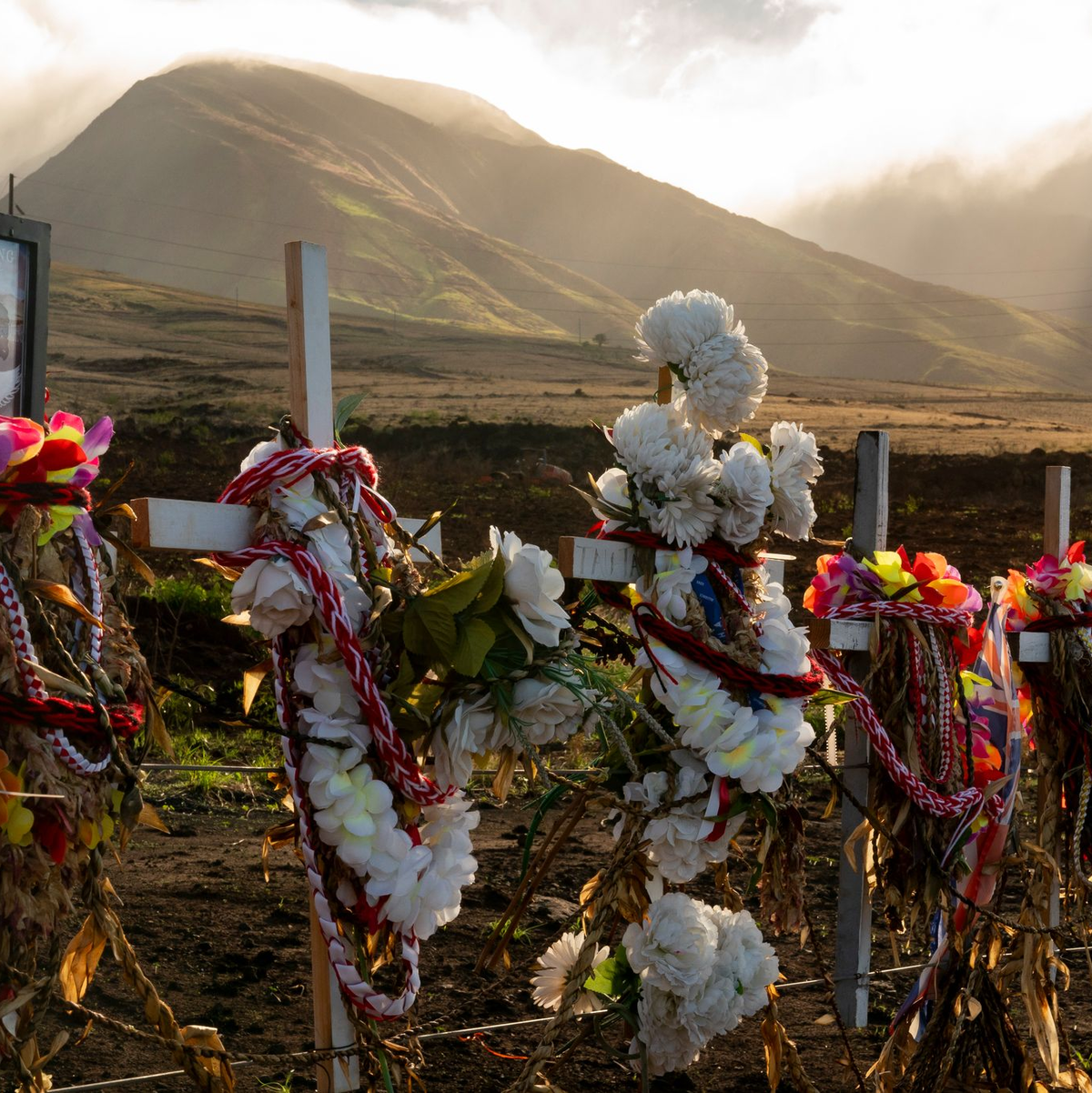  102 Menschen wurden Opfer der Brände auf Maui. (Archivbild) - Foto: Lindsey Wasson/AP