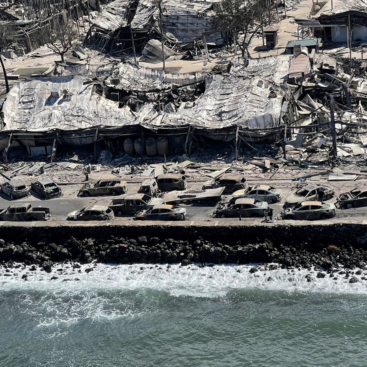 Verstopfte Straßen wurden auf Maui zur tödlichen Falle.  (Archivbild) - Foto: Uncredited/Hawaii Department of Land and Natural Resources/AP/dpa