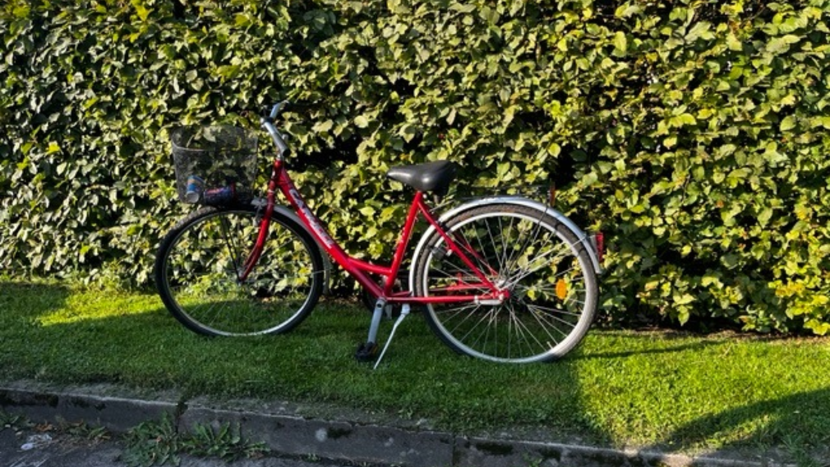 POL-HK: Soltau: Eigentümer zu einem Fahrrad gesucht (Foto); Schwarmstedt: 2,82 Promille auf dem Fahrrad; Rethem: Gegenstände aus Boot entwendet; Soltau: Verschließen Sie ihre Fahrzeuge! - Foto: presseportal.de