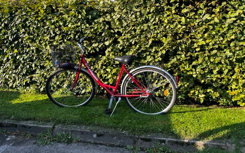POL-HK: Soltau: Eigentümer zu einem Fahrrad gesucht (Foto); Schwarmstedt: 2,82 Promille auf dem Fahrrad; Rethem: Gegenstände aus Boot entwendet; Soltau: Verschließen Sie ihre Fahrzeuge! - Foto: presseportal.de