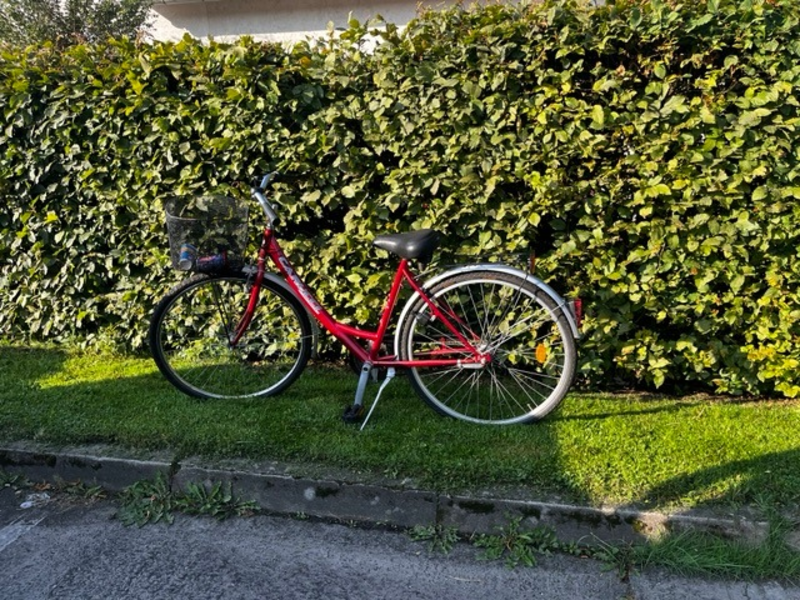 POL-HK: Soltau: Eigentümer zu einem Fahrrad gesucht (Foto); Schwarmstedt: 2,82 Promille auf dem Fahrrad; Rethem: Gegenstände aus Boot entwendet; Soltau: Verschließen Sie ihre Fahrzeuge! - Foto: presseportal.de