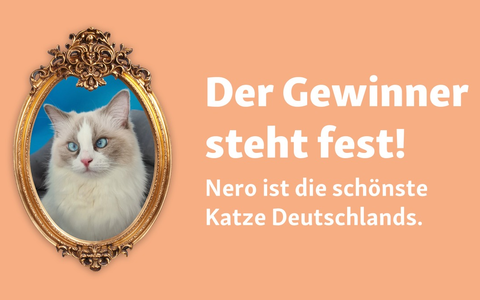 Weltkatzentag: Fressnapf hat die schönste Katze Deutschlands gefunden! - Foto: presseportal.de