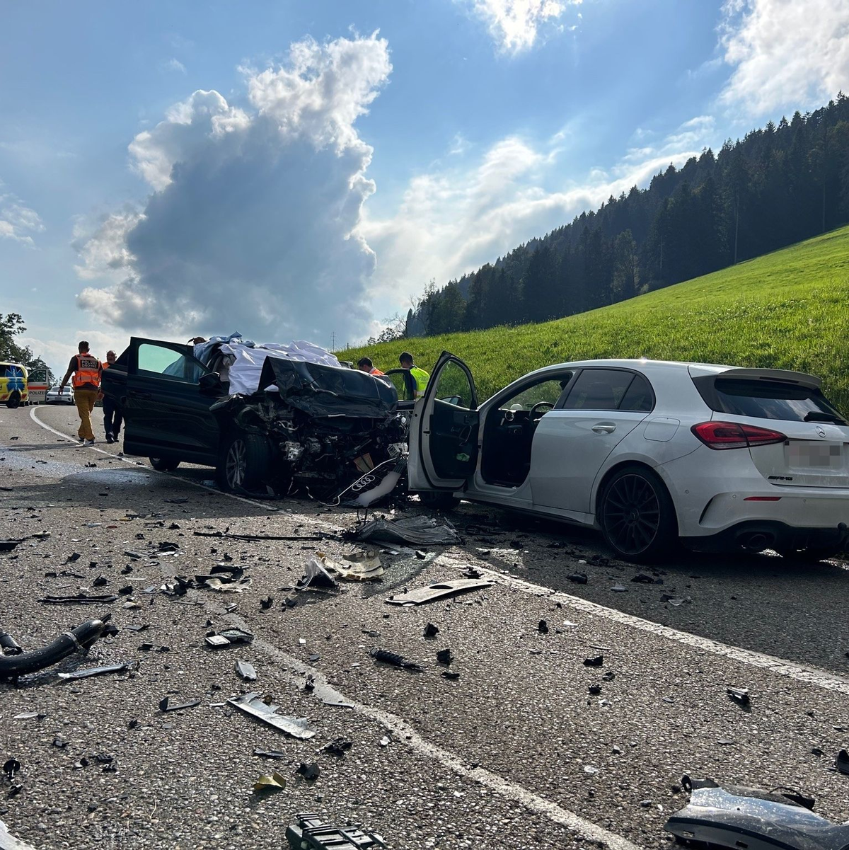 Der Unfall passierte im Schweizer Kanton St. Gallen (Handout). - Foto: Kantonspolizei St.Gallen/dpa