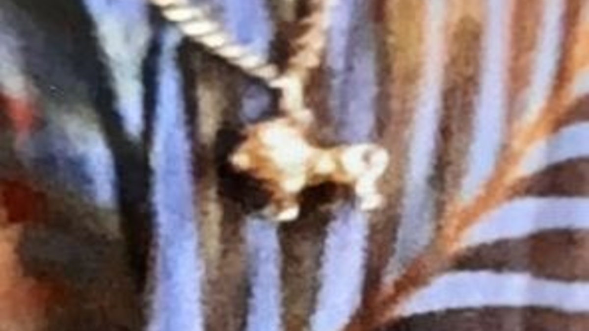 POL-KI: 240809.1 Kiel: Raub auf dem Europaplatz - Polizei bittet um Mithilfe - Foto: presseportal.de