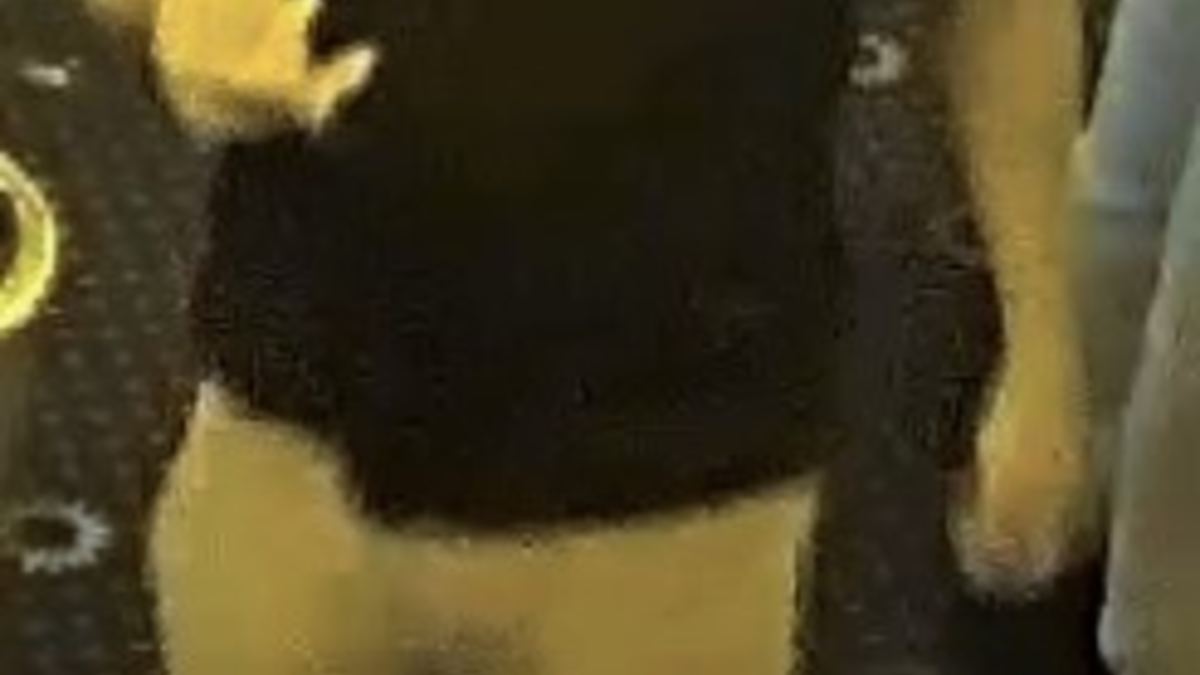 LPI-NDH: Öffentlichkeitsfahndung: Unbekannte bringen Falschgeld in Umlauf - Wer erkennt die Täter? - Foto: presseportal.de