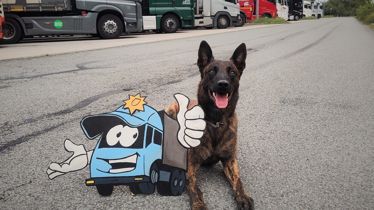 POL-KR: Spürhund findet geraubte Kopfhörer im Gebüsch - Verdächtige gestellt - Foto: presseportal.de