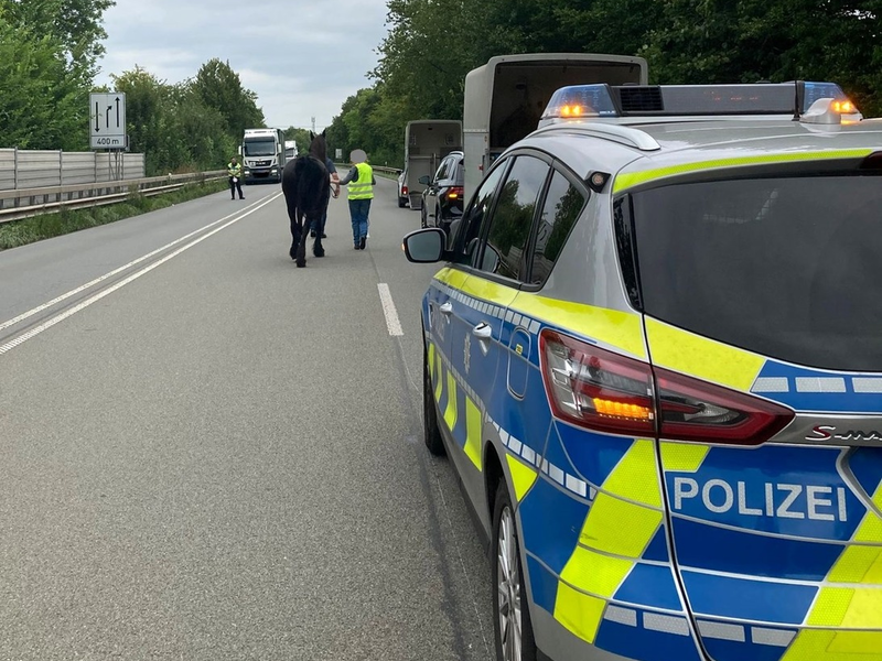 POL-MI: Reifenpanne löst tierischen Einsatz aus - Foto: presseportal.de