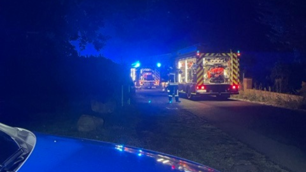 POL-HRO: Polizei sucht Eigentümer eines E-Bikes nach Diebstahl - Foto: presseportal.de