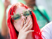 Der Umgang mit dem Cannabisblatt erregt weiterhin die Gemüter.  - Foto: Christophe Gateau/dpa