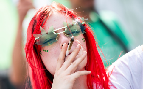 Der Umgang mit dem Cannabisblatt erregt weiterhin die Gemüter.  - Foto: Christophe Gateau/dpa