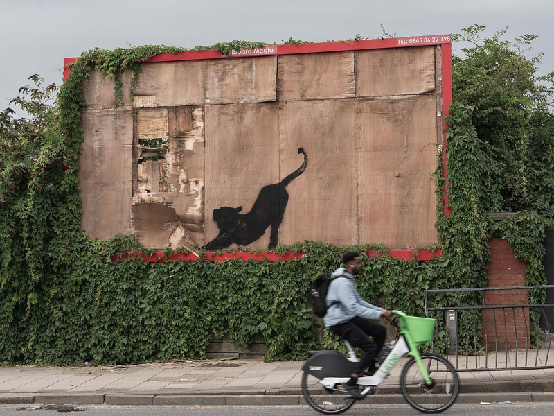 Mit seiner Bilder-Reihe will Banksy wohl die Menschen aufmuntern. - Foto: -/Banksy/PA Wire/dpa