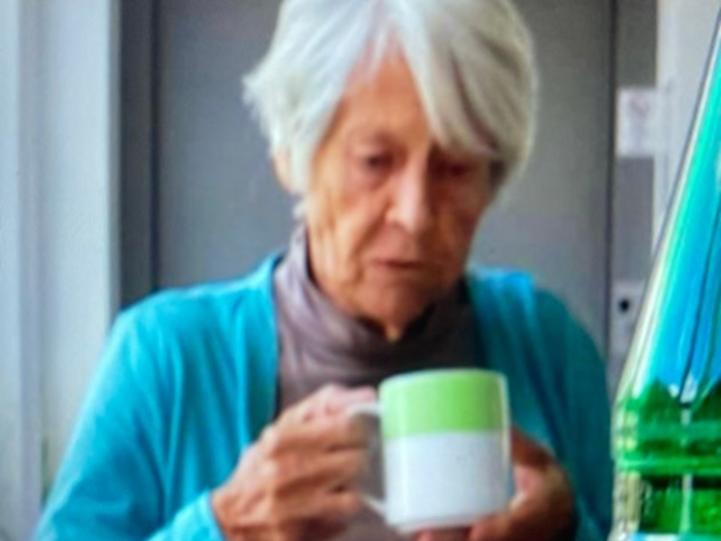 POL-KS: Seit dem 10.08.2024, 19:40 Uhr, wird die 85jährige Brigitte S. aus der Seniorenwohnanlage Marie-Behre-Altenhilfezentrum Guntershausen vermisst. - Foto: presseportal.de