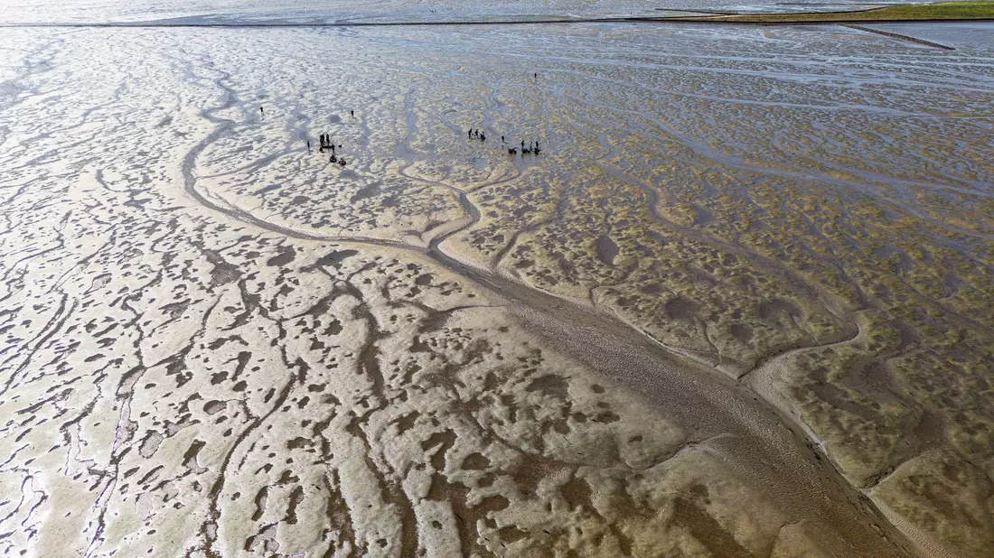 Das Meerwasser im Watt erwärmt sich besonders schnell. (Archivbild) - Bild: Frank Molter/dpa