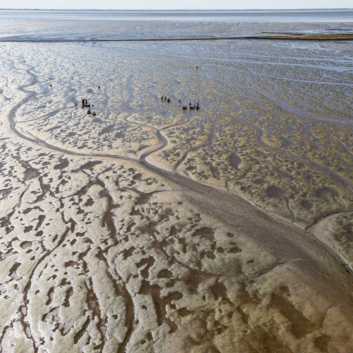 Das Meerwasser im Watt erwärmt sich besonders schnell. (Archivbild) - Foto: Frank Molter/dpa