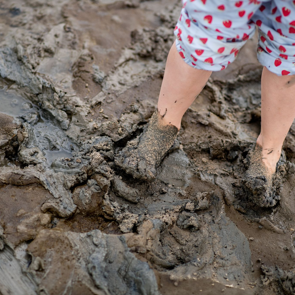 Die Klimaerwärmung im Watt hat auch Folgen für  Menschen (Archvibild) - Foto: Hauke-Christian Dittrich/dpa
