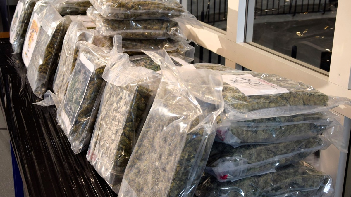 ZOLL-M: Schmuggel von Drogen über Mietlager (Self-Storages) aufgedeckt. - Foto: presseportal.de