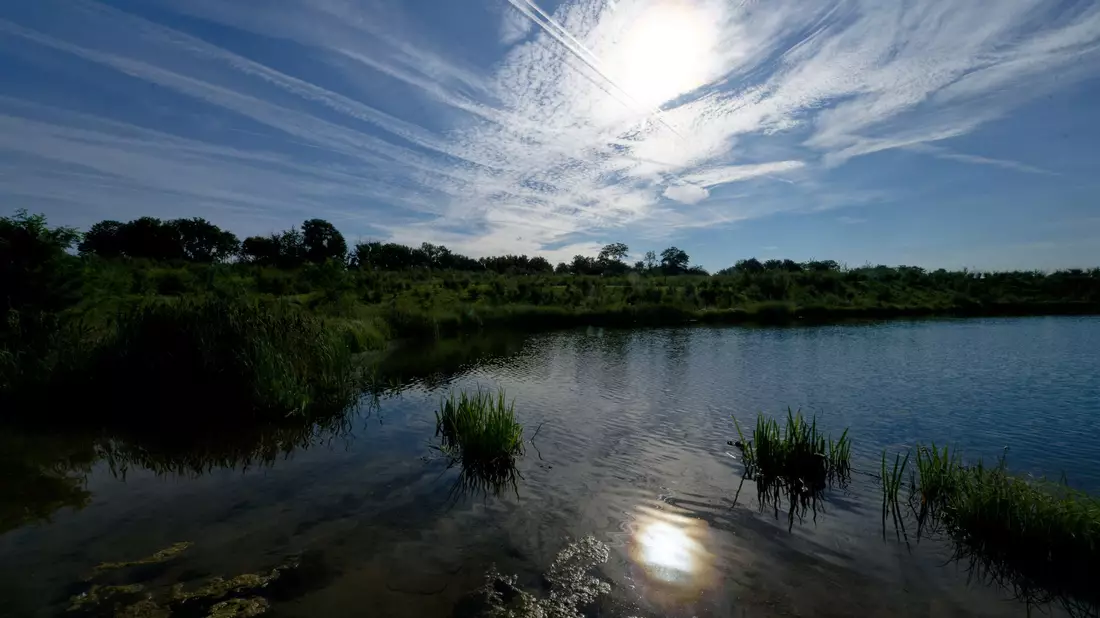 Bis zu 37 Grad erwarten Meteorologen am Dienstag. - Bild: Henning Kaiser/dpa
