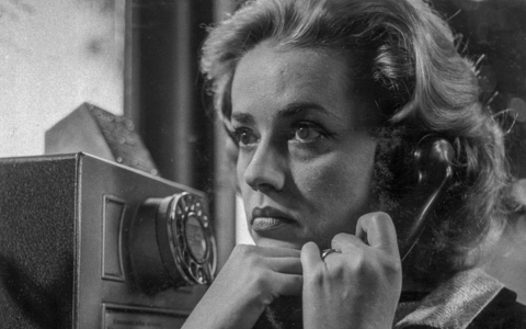 ARTE-Streamingtipps 2. Augusthälfte: Lucerne Festival & Salzburger Festspiele | Sühne | Mit offenen Daten: Gorilla-Babies zu verkaufen - Foto: presseportal.de